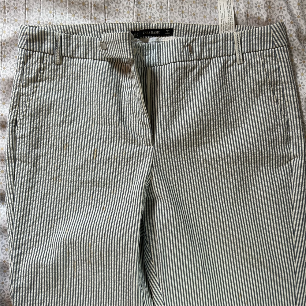 Zara blue striped pants